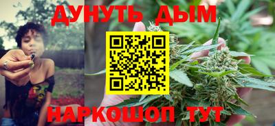 СК Волгодонск